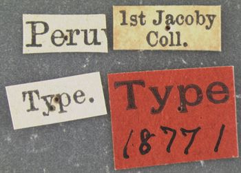 Media type: image; Entomology 18771   Aspect: labels